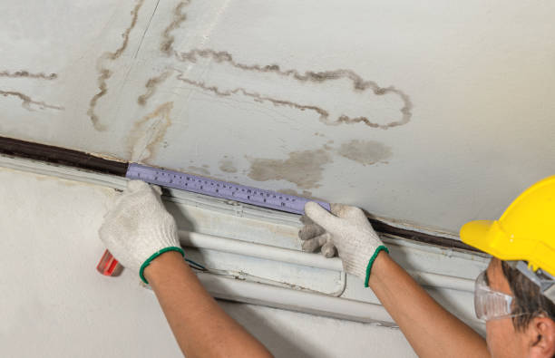 Reliable Mold Remediation contractor in Litchfield, NH by Water Damage Irwin